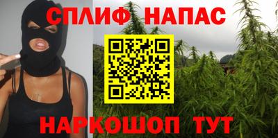 mdpv Бердск